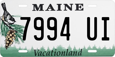 ME license plate 7994UI