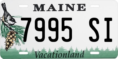 ME license plate 7995SI