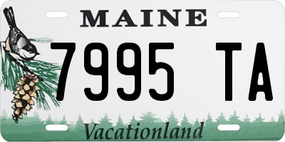 ME license plate 7995TA
