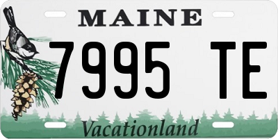 ME license plate 7995TE