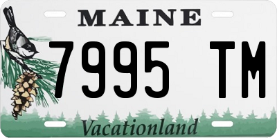 ME license plate 7995TM
