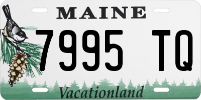 ME license plate 7995TQ