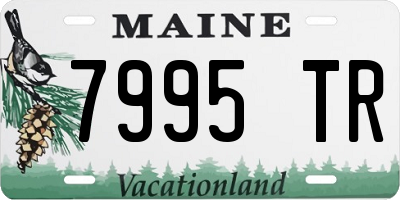 ME license plate 7995TR