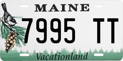ME license plate 7995TT