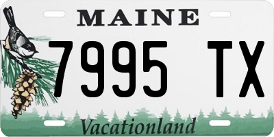 ME license plate 7995TX