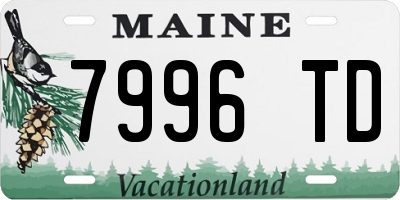 ME license plate 7996TD