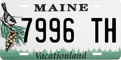 ME license plate 7996TH