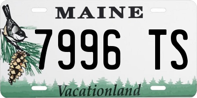 ME license plate 7996TS