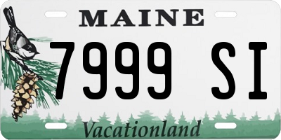 ME license plate 7999SI