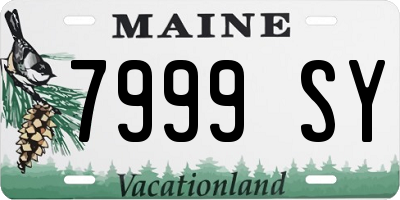 ME license plate 7999SY