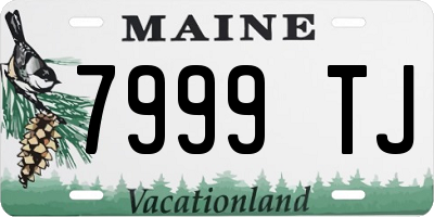 ME license plate 7999TJ