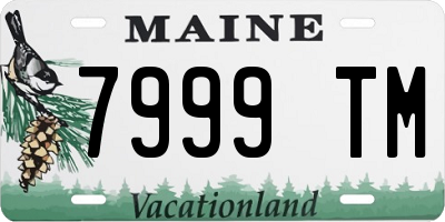ME license plate 7999TM