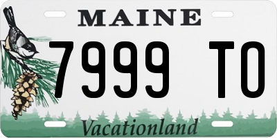 ME license plate 7999TO