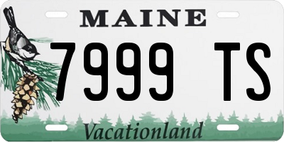 ME license plate 7999TS