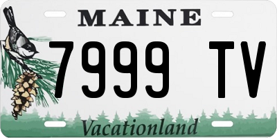 ME license plate 7999TV