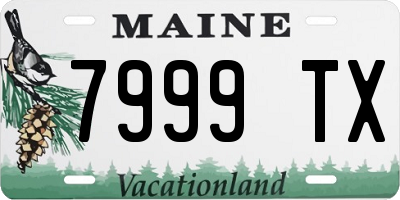 ME license plate 7999TX