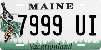 ME license plate 7999UI