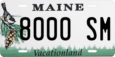 ME license plate 8000SM