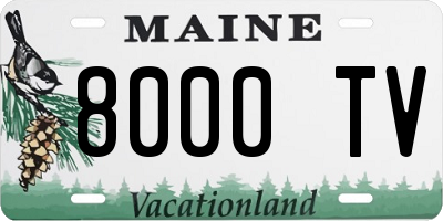 ME license plate 8000TV