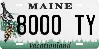 ME license plate 8000TY