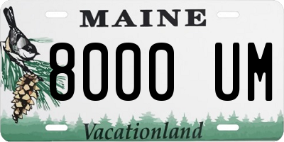 ME license plate 8000UM