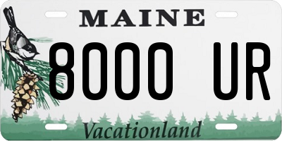 ME license plate 8000UR