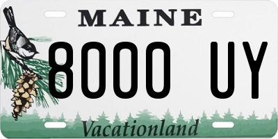 ME license plate 8000UY