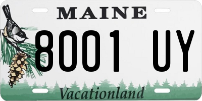 ME license plate 8001UY