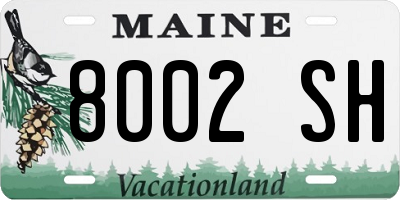 ME license plate 8002SH