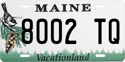 ME license plate 8002TQ