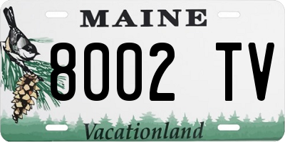 ME license plate 8002TV