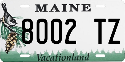 ME license plate 8002TZ