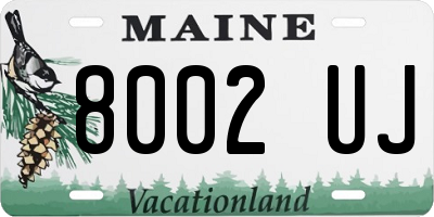 ME license plate 8002UJ