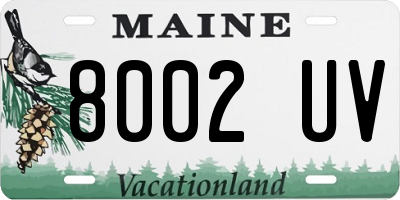 ME license plate 8002UV