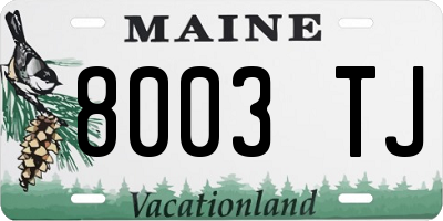 ME license plate 8003TJ