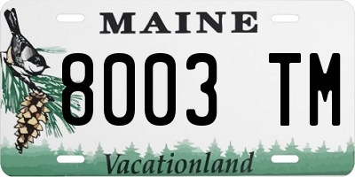ME license plate 8003TM