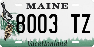 ME license plate 8003TZ