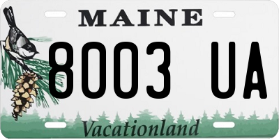 ME license plate 8003UA