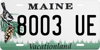 ME license plate 8003UE