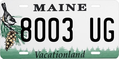 ME license plate 8003UG