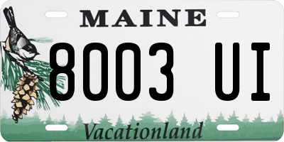 ME license plate 8003UI