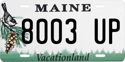 ME license plate 8003UP