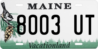 ME license plate 8003UT