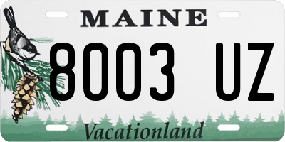 ME license plate 8003UZ