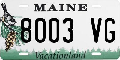 ME license plate 8003VG