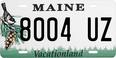 ME license plate 8004UZ
