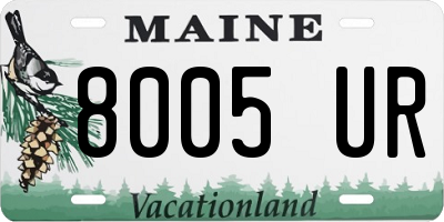 ME license plate 8005UR