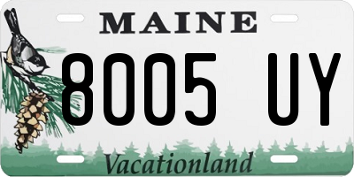 ME license plate 8005UY