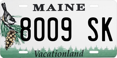 ME license plate 8009SK