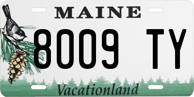 ME license plate 8009TY